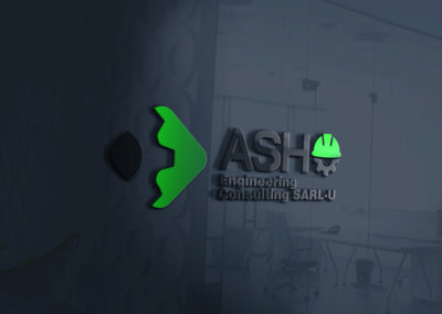 ASH ENGINEERING CONSULTING